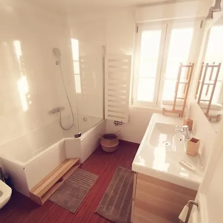 Place De La Republique Hypercentre Apartment